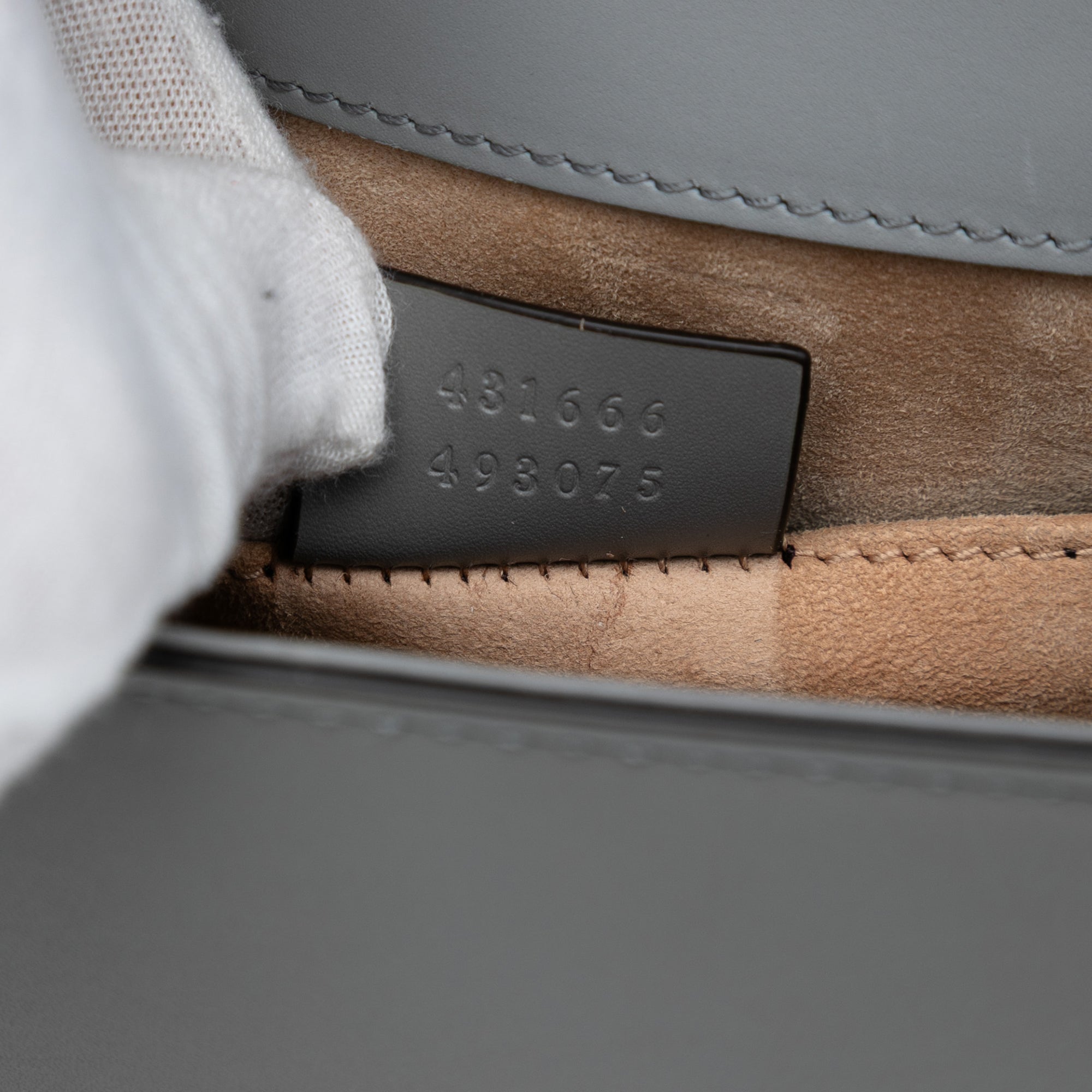 Mini Leather Web Sylvie Chain Crossbody