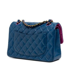 Small Classic Lambskin Rainbow Double Flap