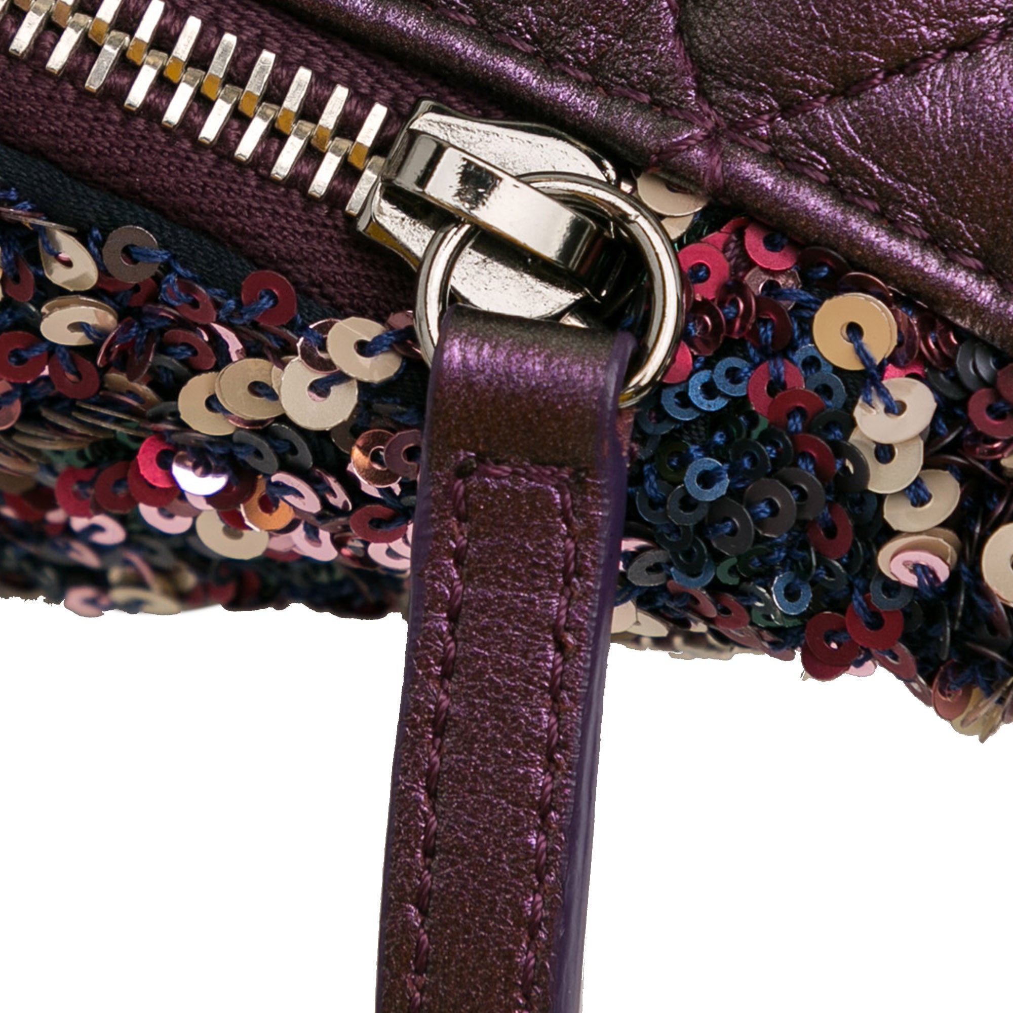 Sequin and Metallic Lambskin Belt Bag_8