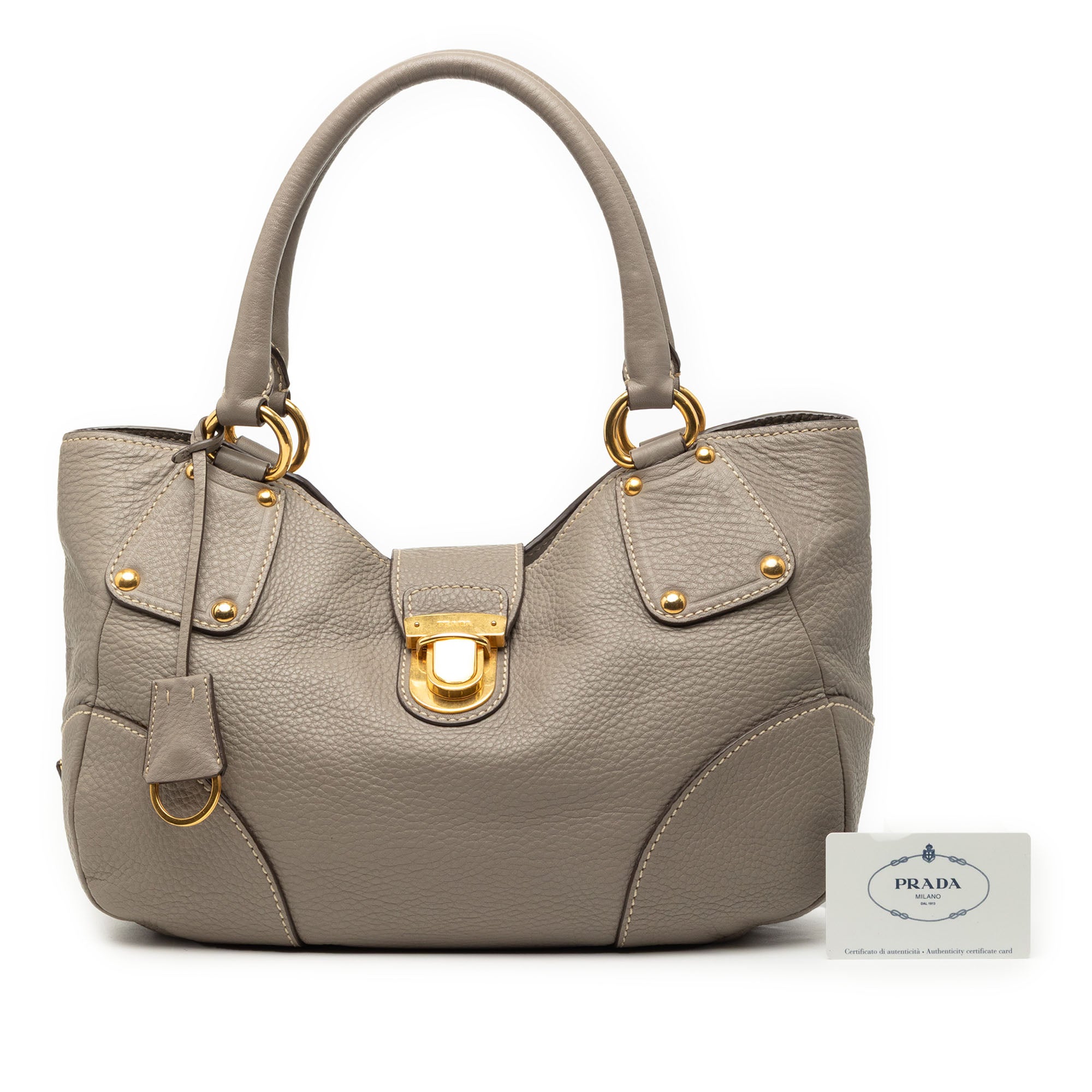 Vitello Daino Shoulder Bag