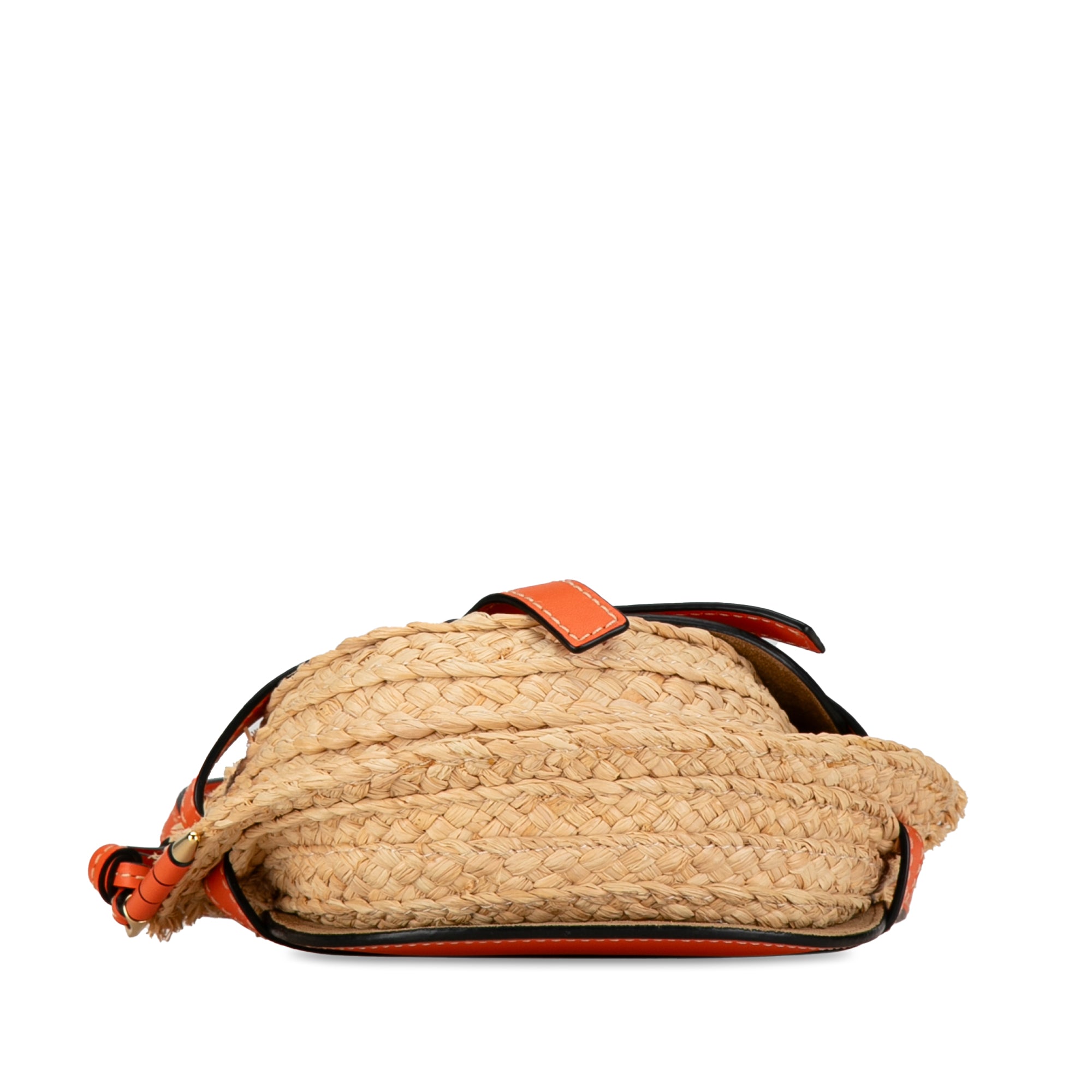 Mini Raffia Gate Crossbody Bag_3