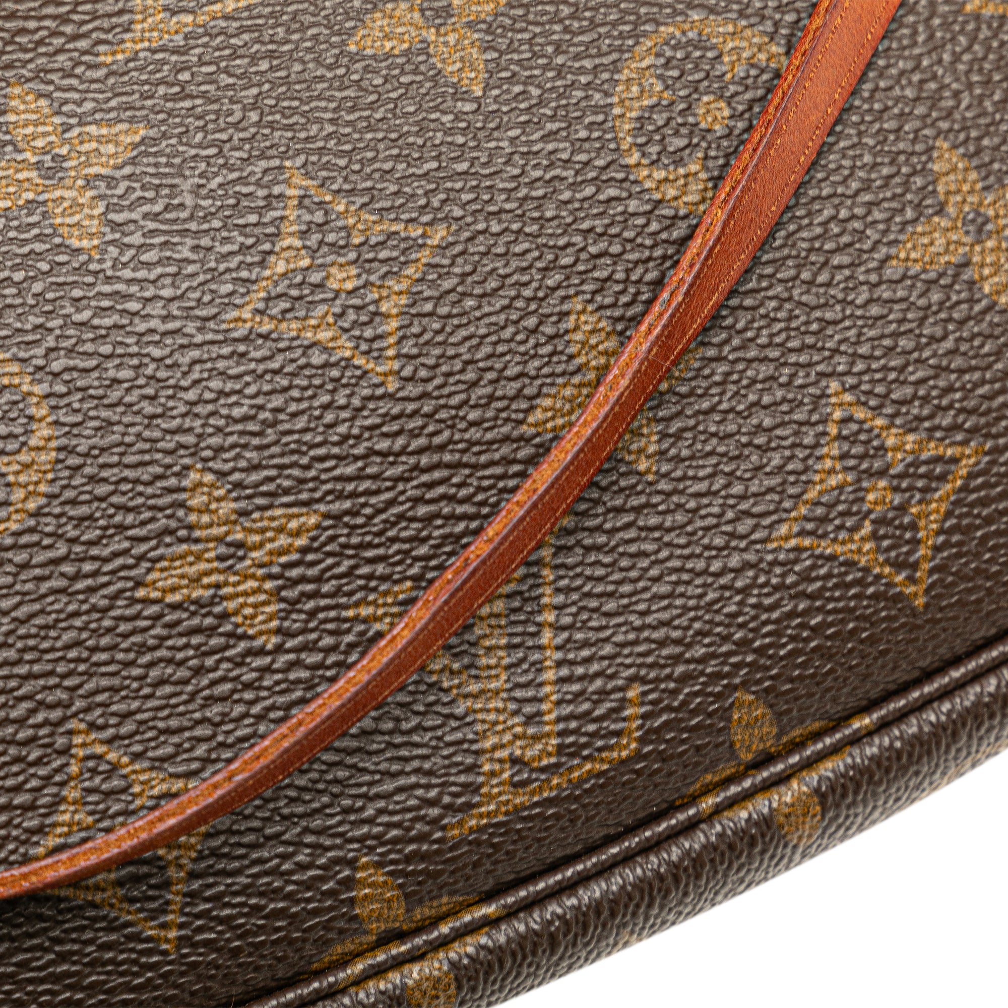 Monogram Pochette Accessoires_8