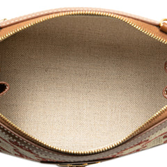 Triomphe Embroidered Canvas Clutch On Chain