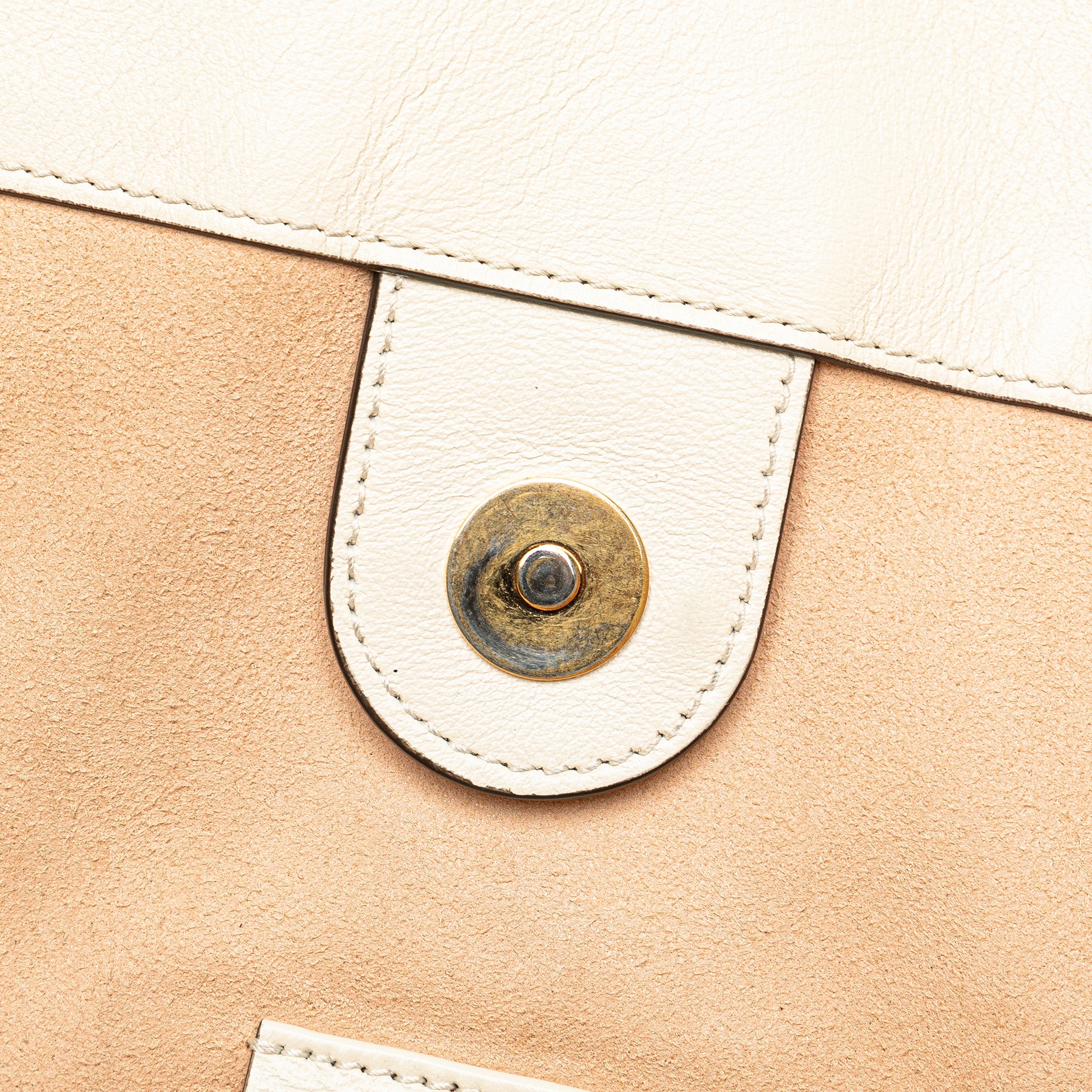 Large Web Leather Rajah Tote