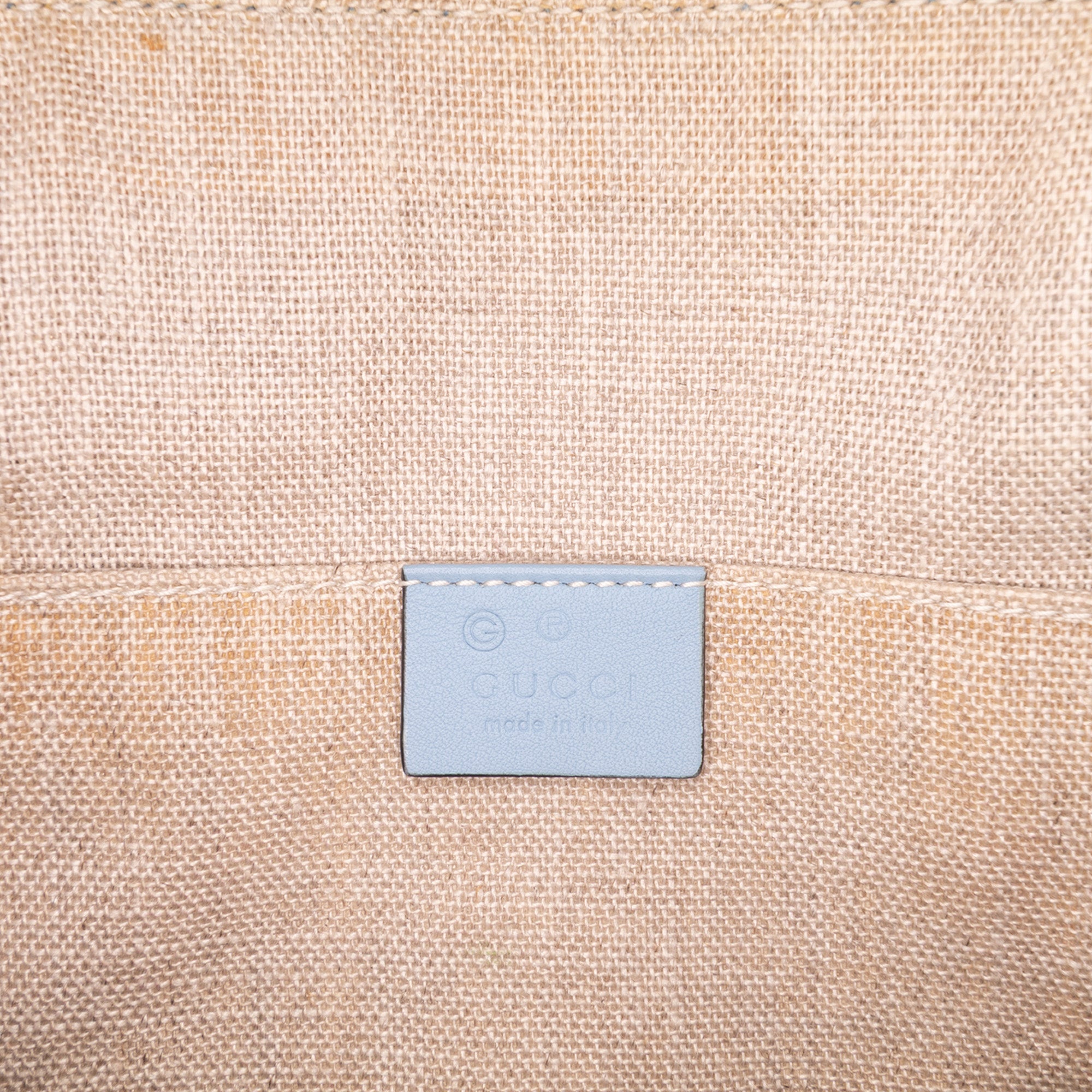 Mini Microguccissima Dome Satchel