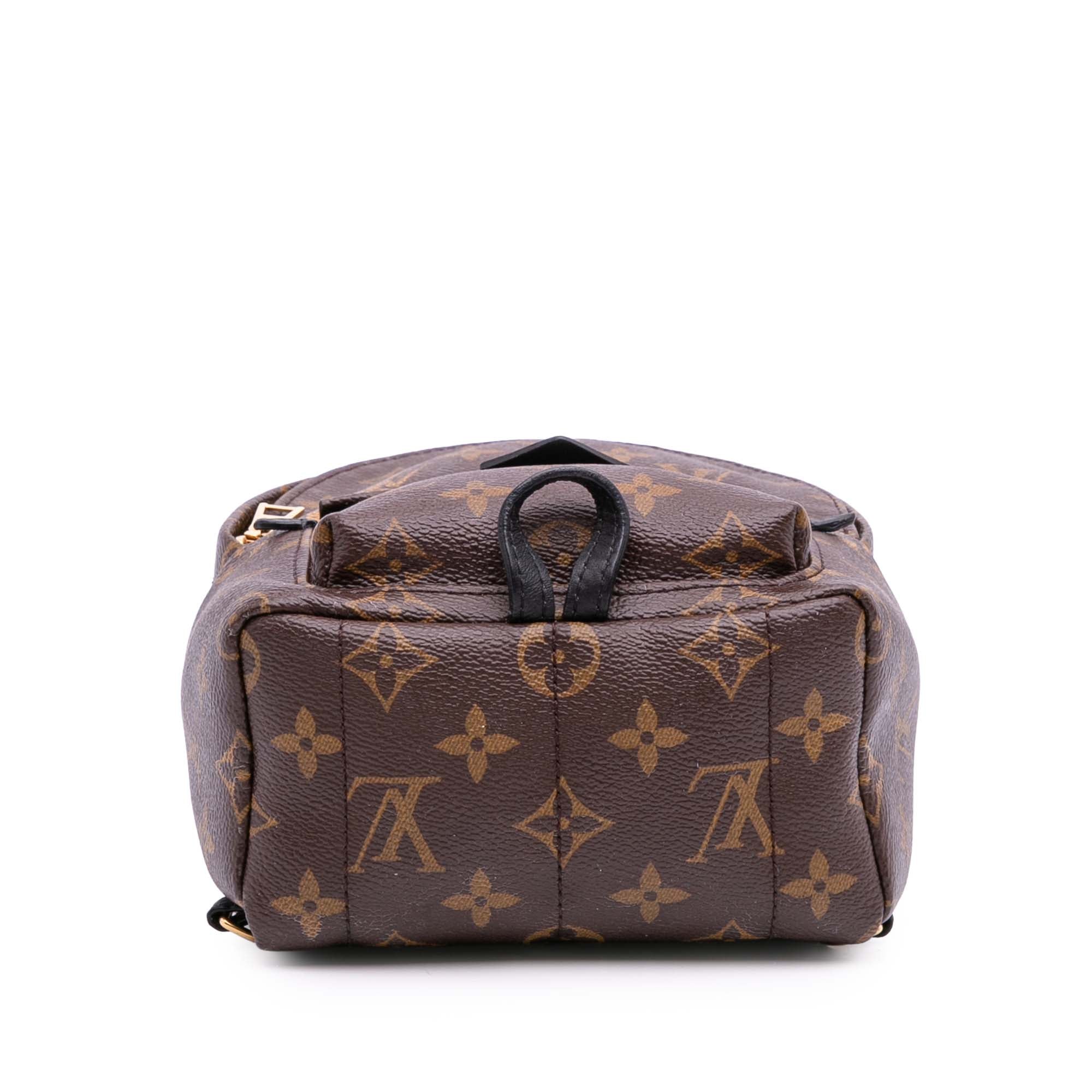 Monogram Mini Palm Springs