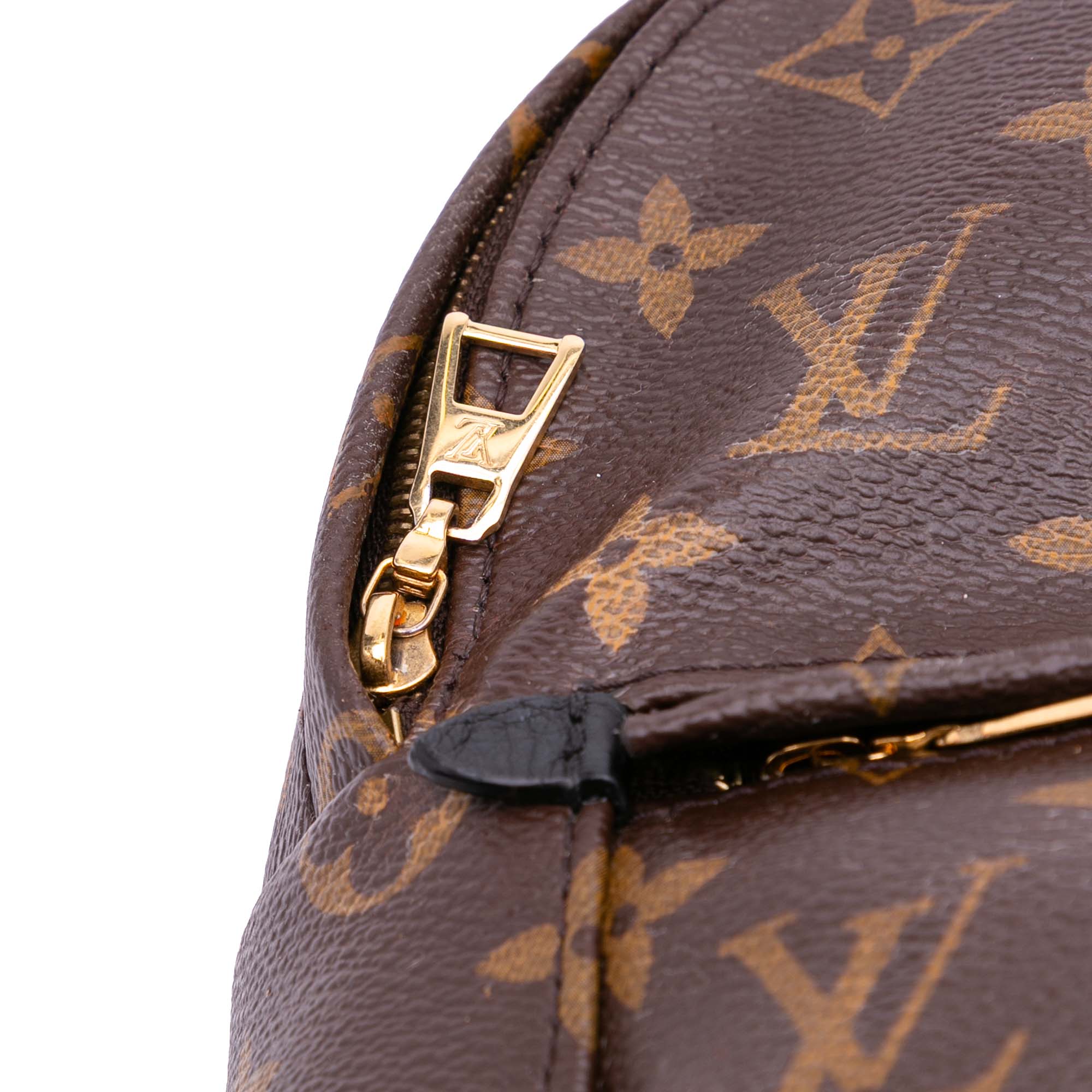 Monogram Mini Palm Springs