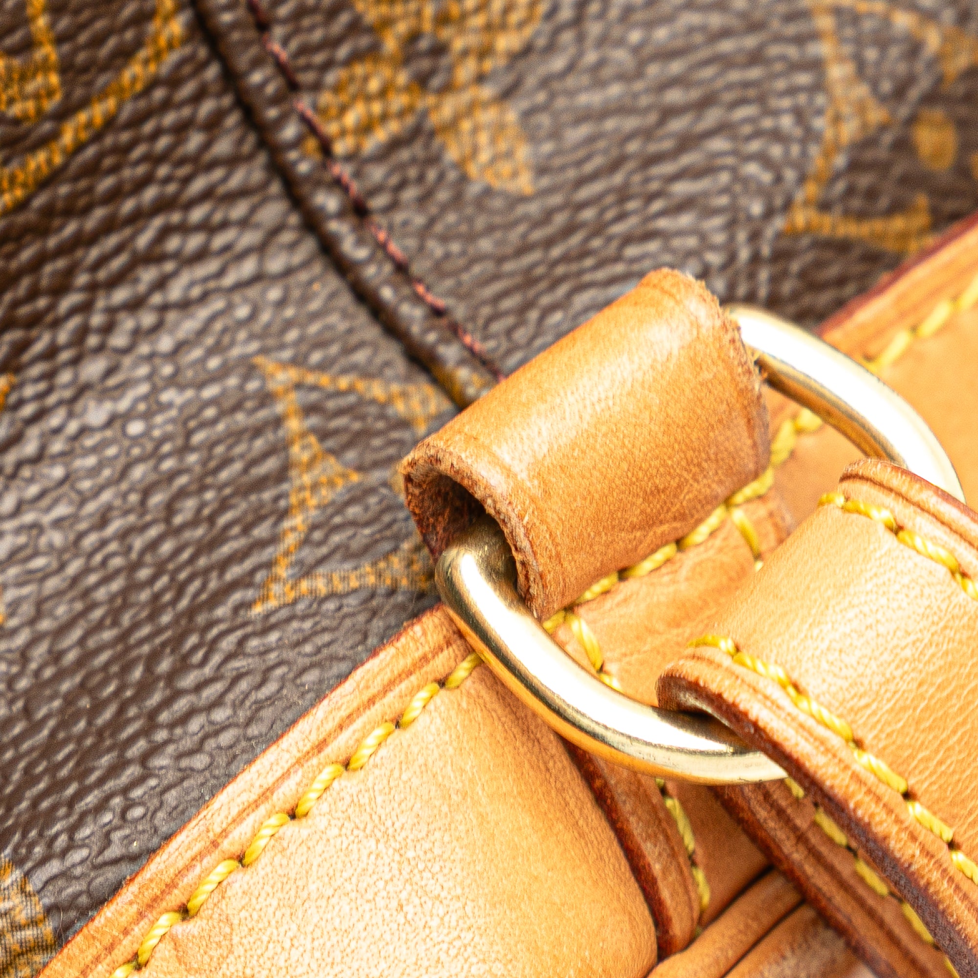 Monogram Mini Montsouris