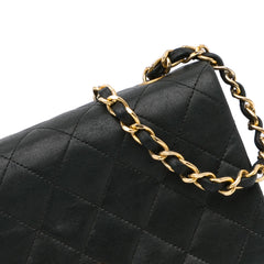 Mini Quilted Lambskin Full Flap_8