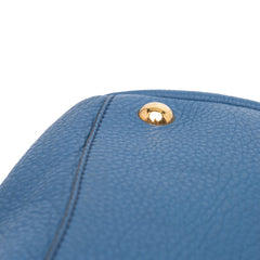 Medium Vitello Daino Open Convertible Tote