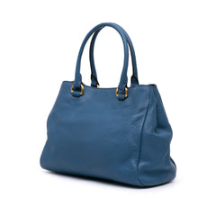 Medium Vitello Daino Open Convertible Tote