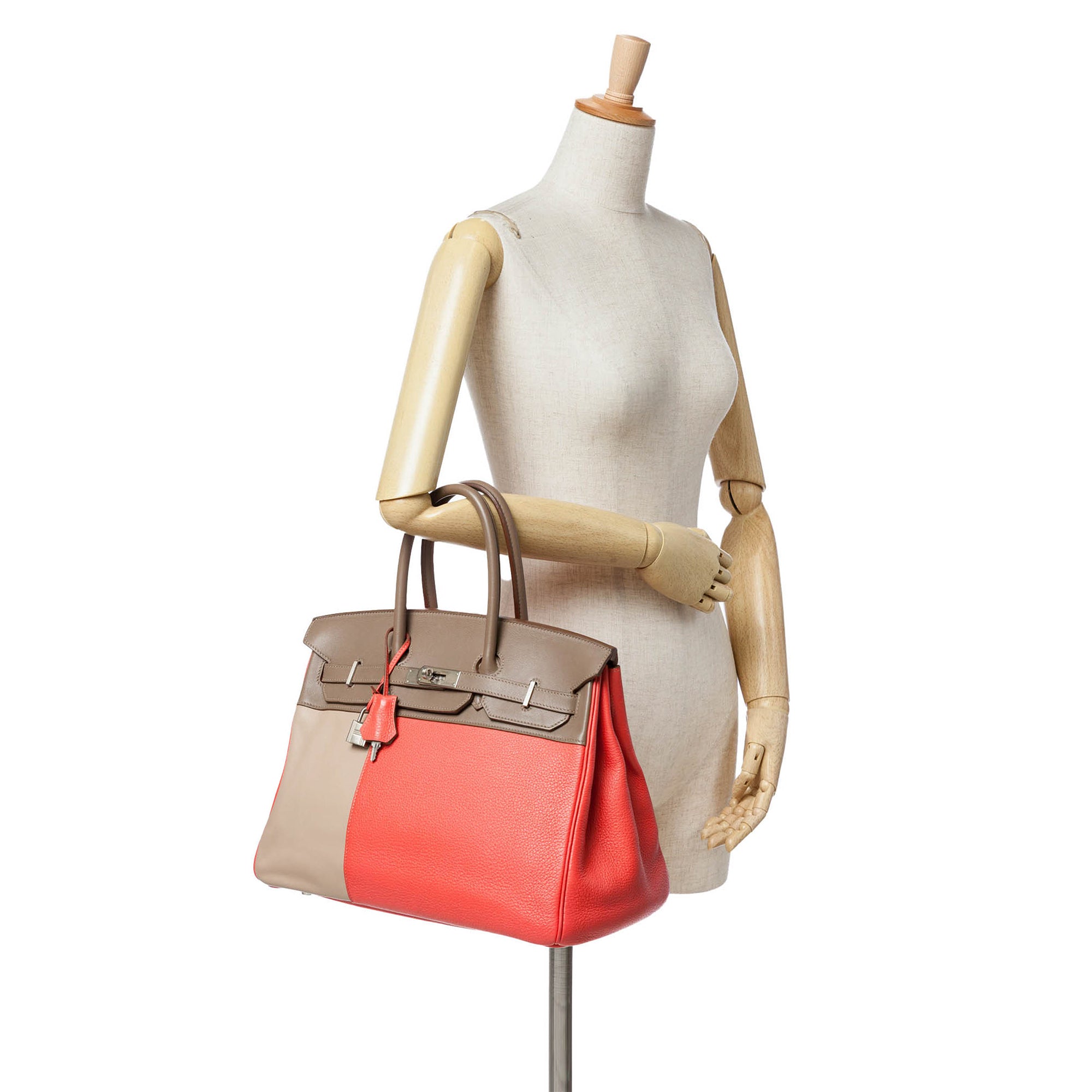 Tricolor Clemence and Swift Birkin Cascade Retourne 35