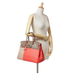 Tricolor Clemence and Swift Birkin Cascade Retourne 35