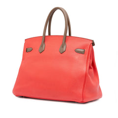 Tricolor Clemence and Swift Birkin Cascade Retourne 35