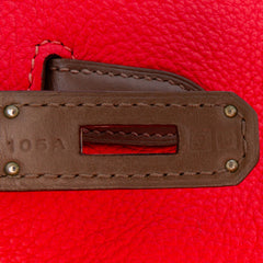 Tricolor Clemence and Swift Birkin Cascade Retourne 35