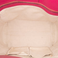 Medium Dollar Calfskin Swing Tote
