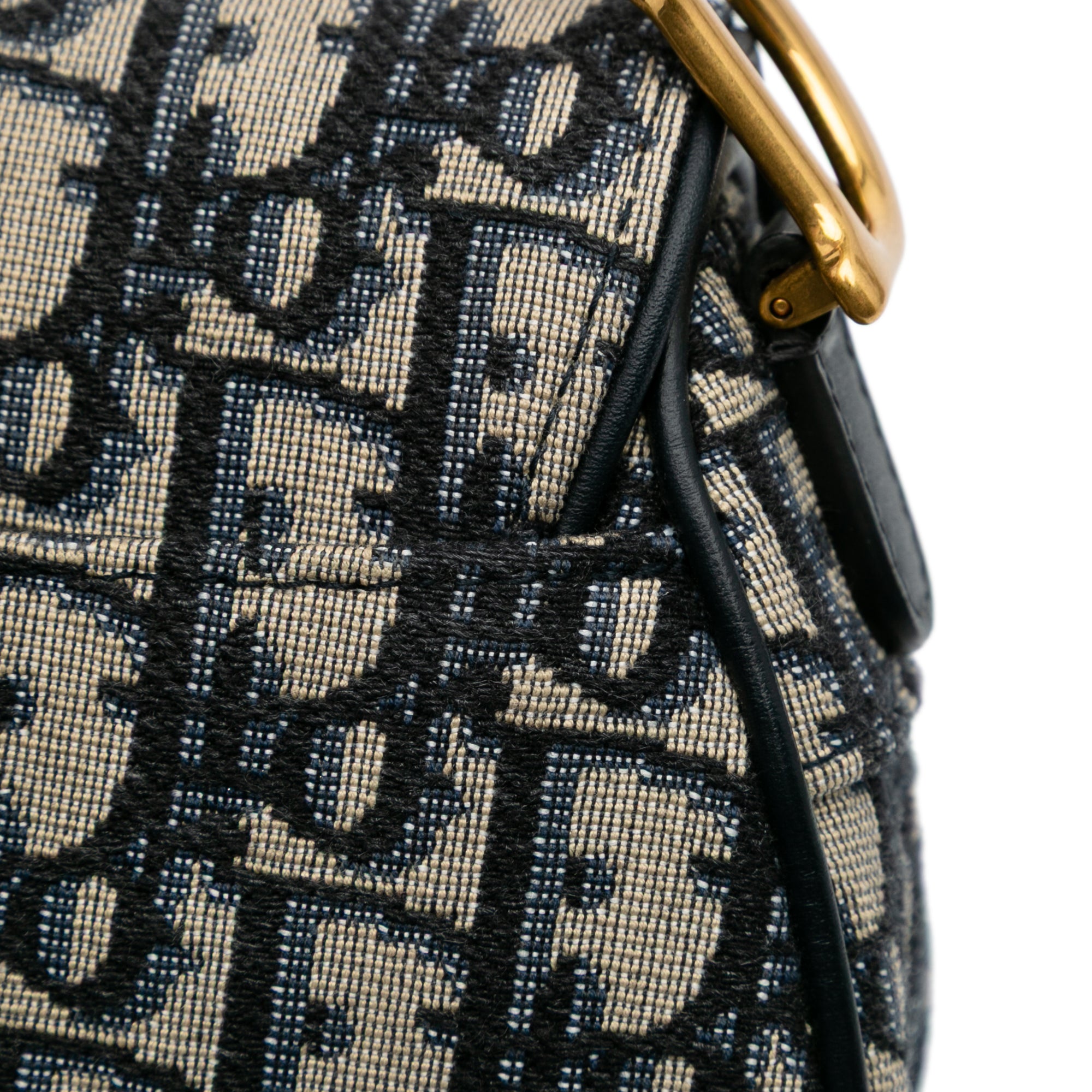 Mini Oblique Canvas Saddle Bag