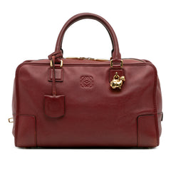 Limited Edition Year of the Dragon Leather Amazona 36