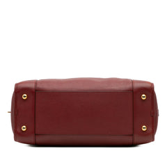 Limited Edition Year of the Dragon Leather Amazona 36