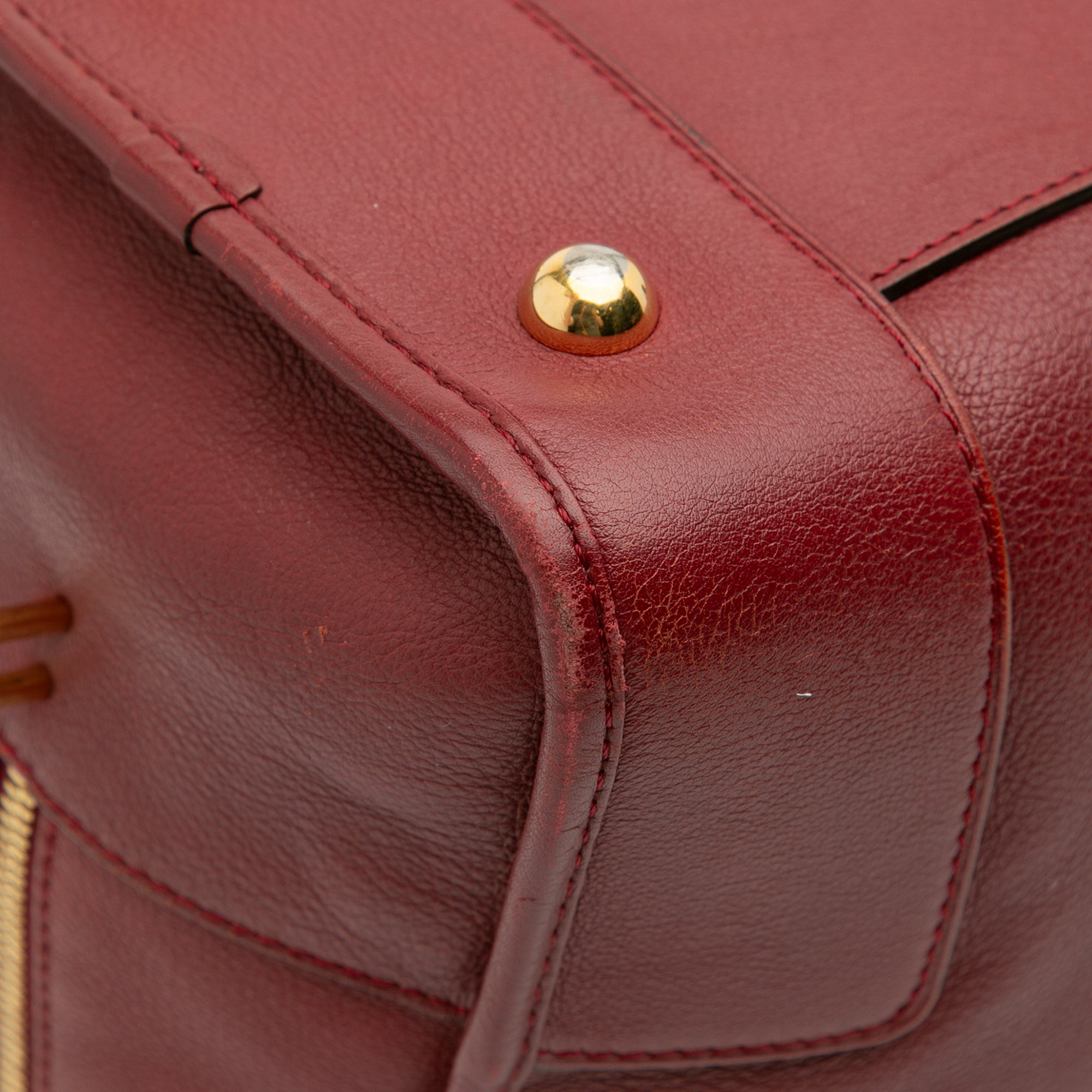 Limited Edition Year of the Dragon Leather Amazona 36