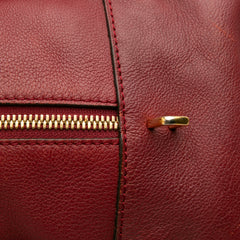 Limited Edition Year of the Dragon Leather Amazona 36