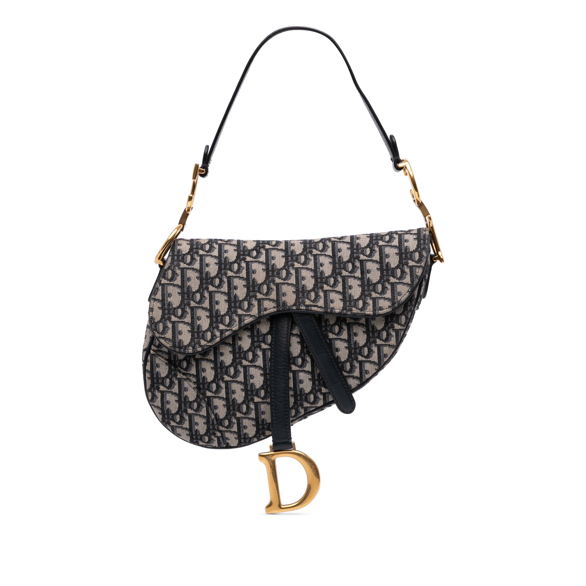 Oblique Canvas Saddle Bag