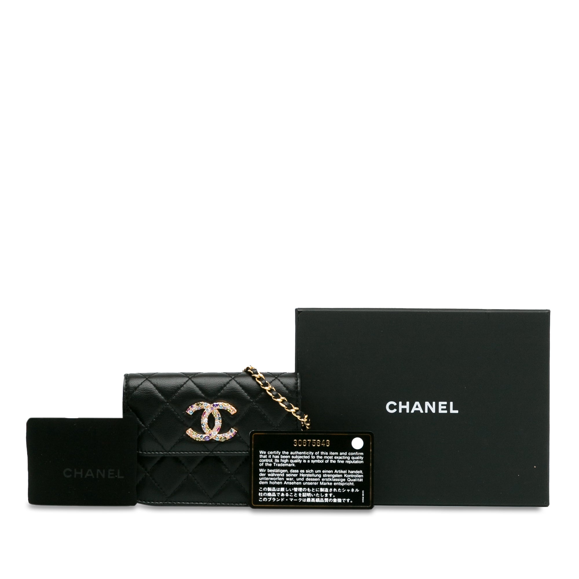 Lambskin Zirconium Clutch With Chain
