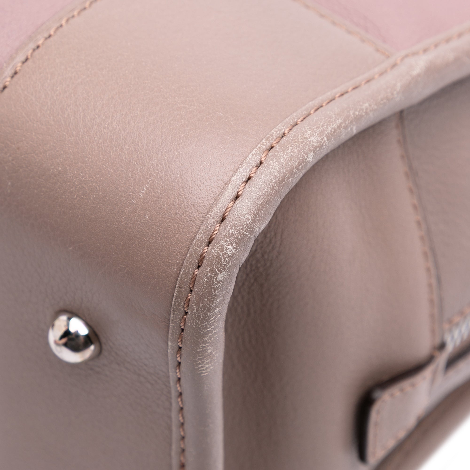 Tricolor Leather Amazona 28