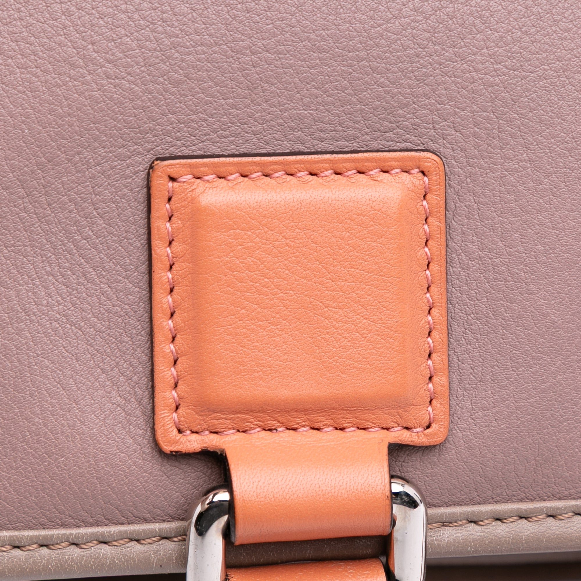 Tricolor Leather Amazona 28