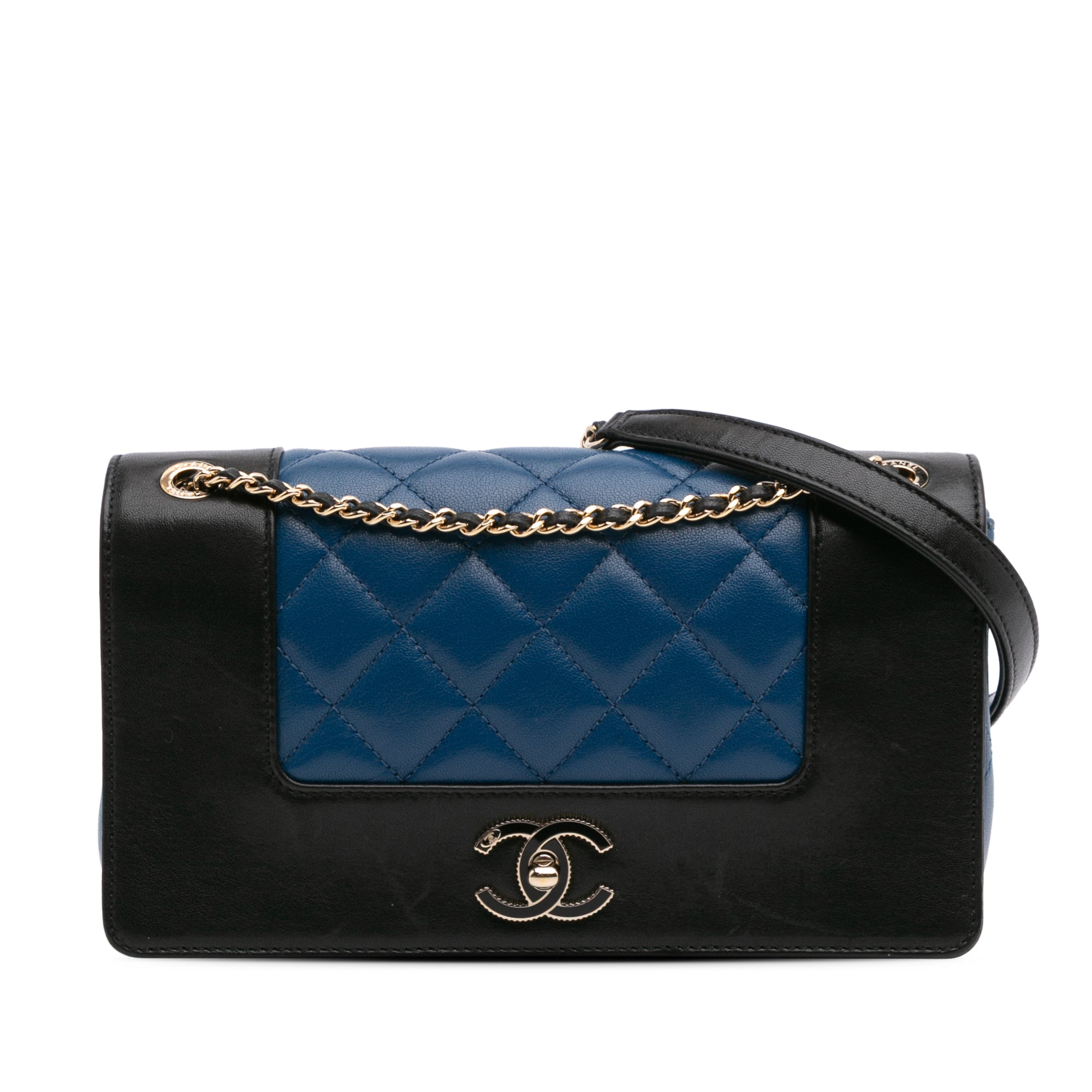 Small Bicolor Lambskin Mademoiselle Flap