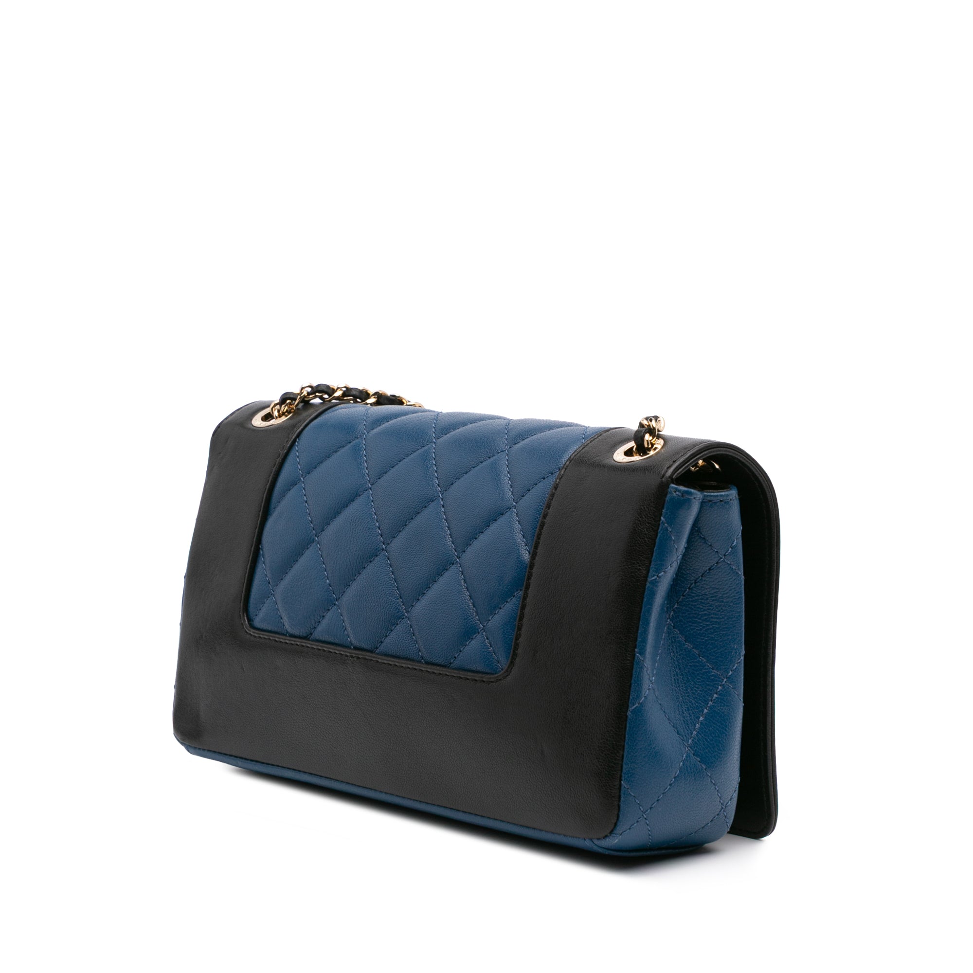 Small Bicolor Lambskin Mademoiselle Flap