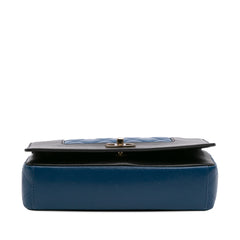 Small Bicolor Lambskin Mademoiselle Flap