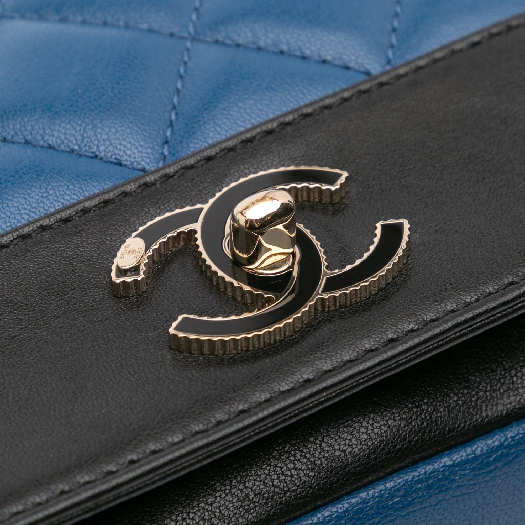 Small Bicolor Lambskin Mademoiselle Flap
