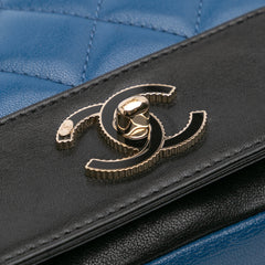 Small Bicolor Lambskin Mademoiselle Flap