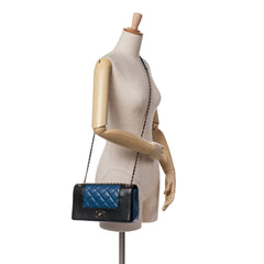 Small Bicolor Lambskin Mademoiselle Flap