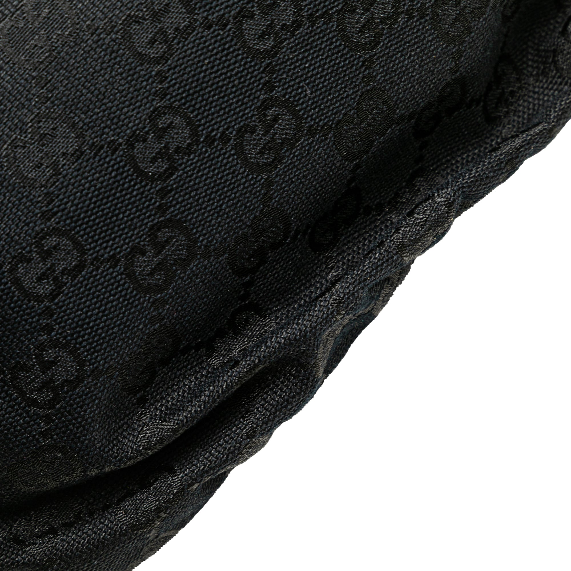 GG Canvas Web Handbag