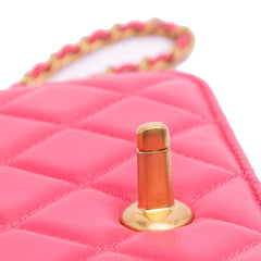 Quilted Lambskin Acrylic Coco Love Wallet on Chain