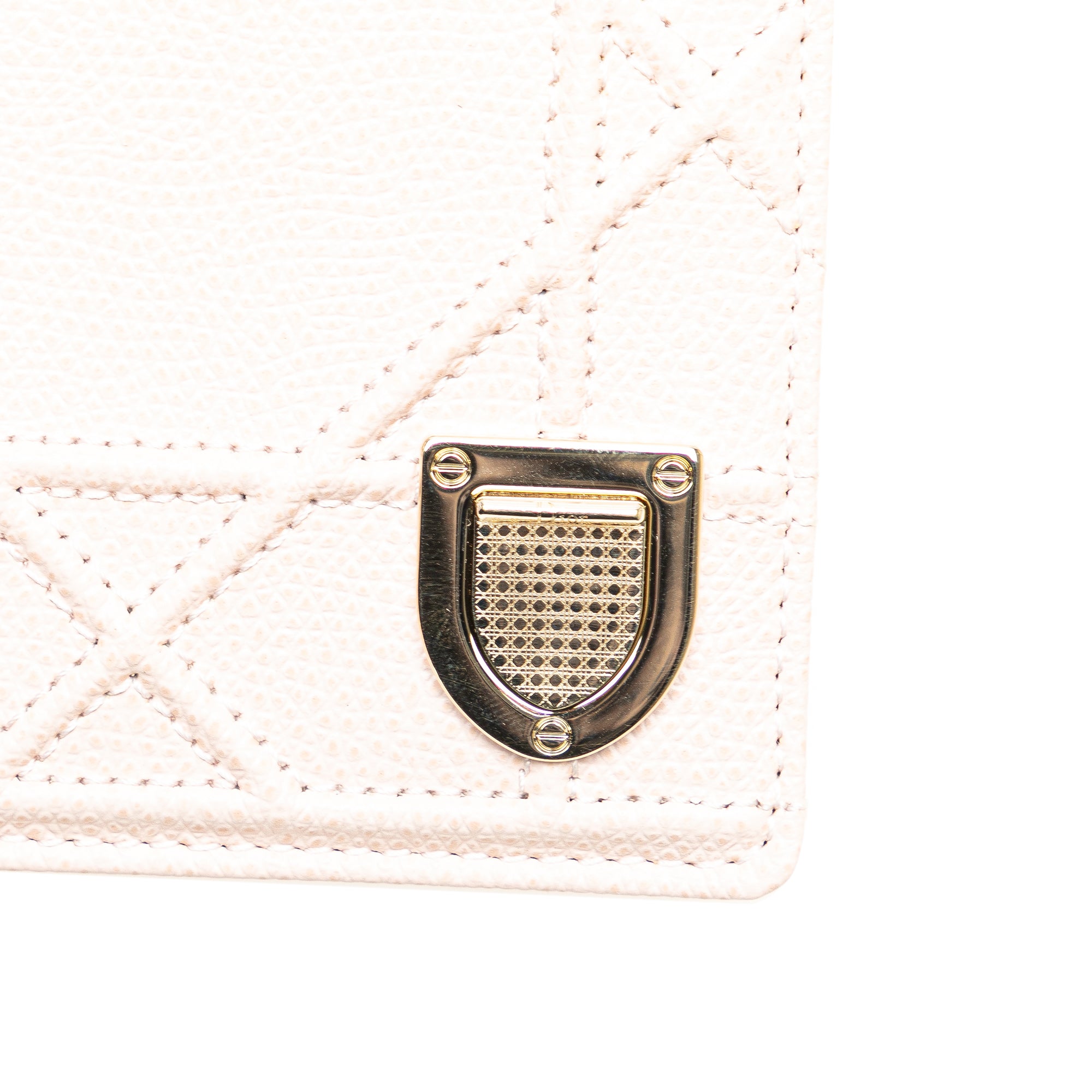 Grained Calfskin Diorama Card Holder