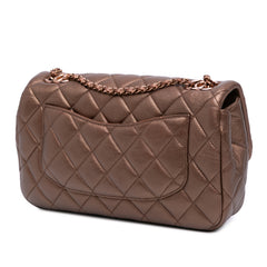 Medium Iridescent Quilted Goatskin CC Eyelet Flap