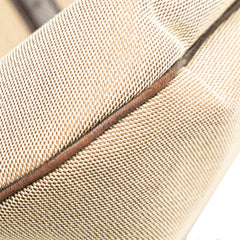 Canvas Web Reins Hobo
