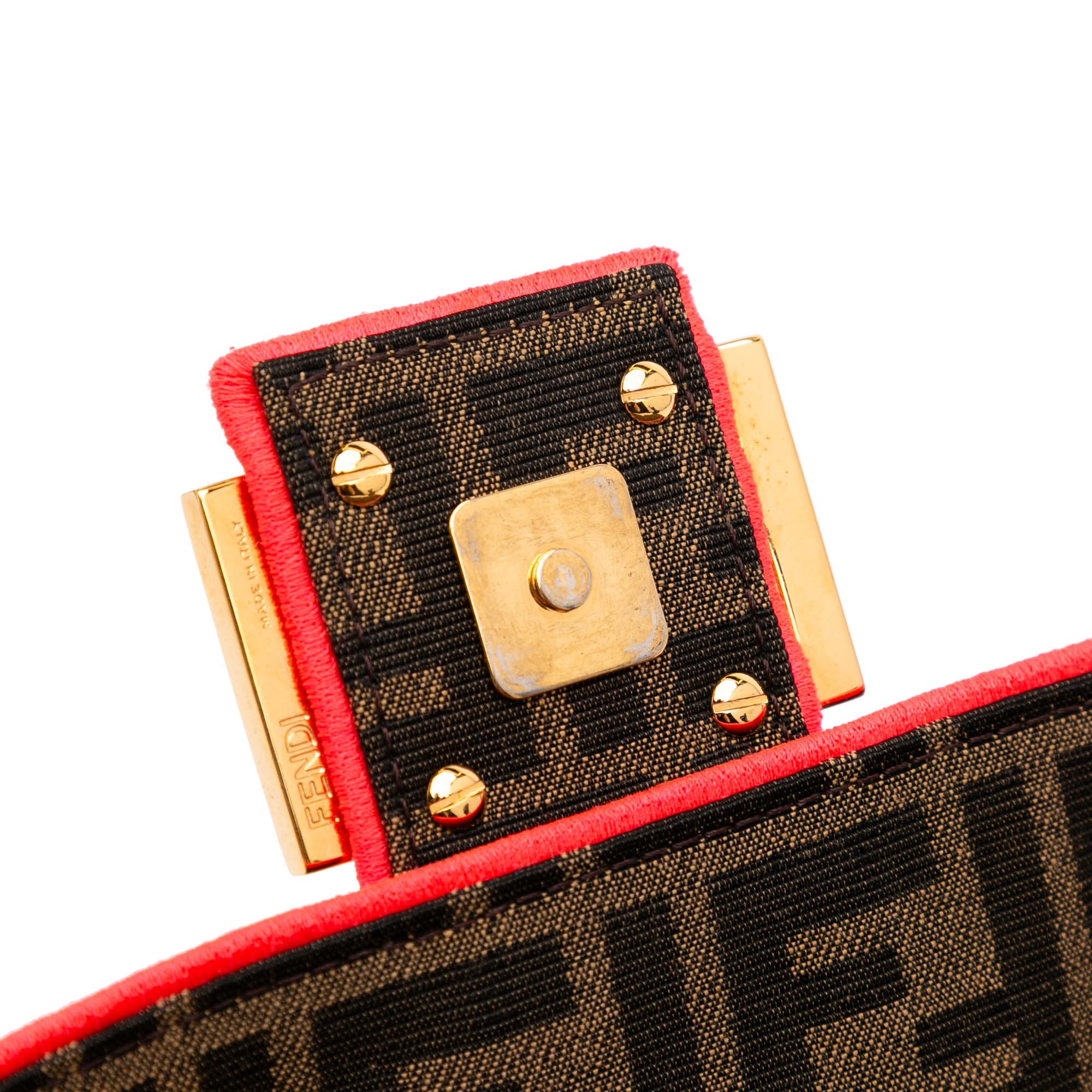 Medium Zucca Canvas Fluo Trim Baguette Satchel