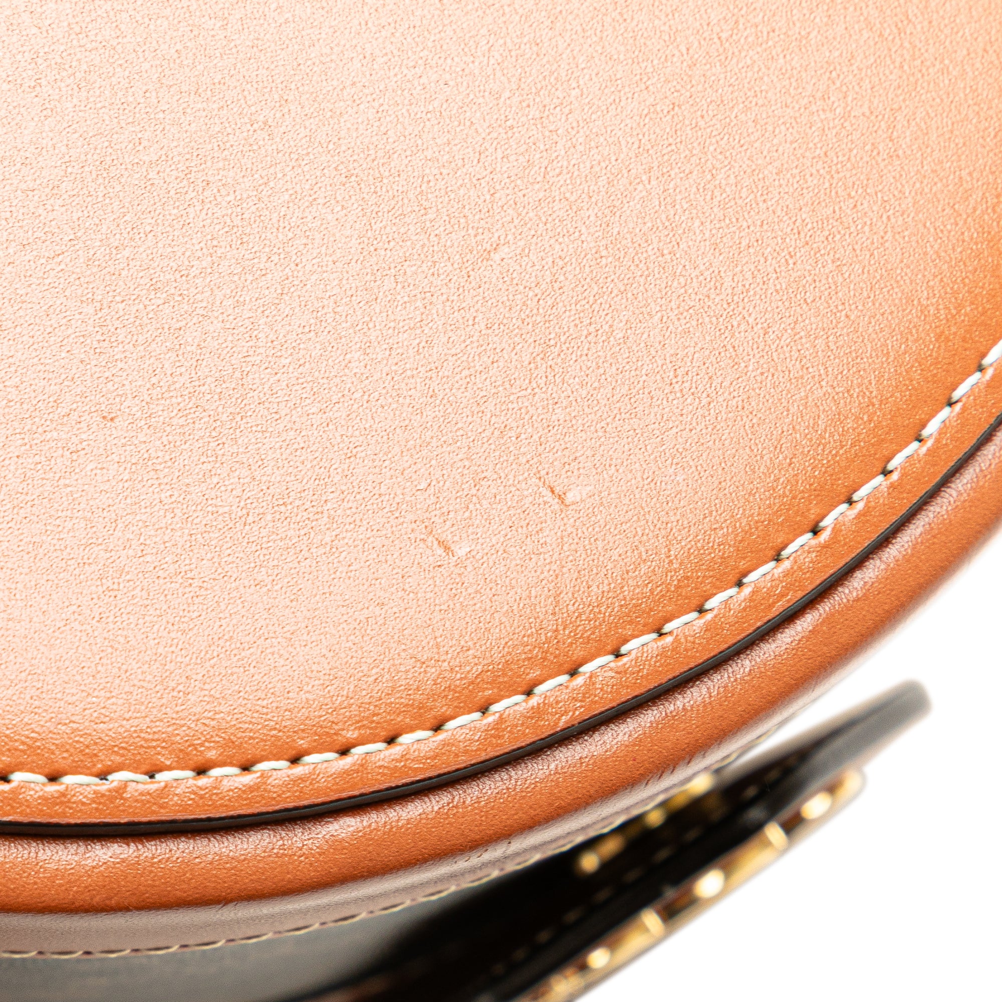 Medium Triomphe Coated Canvas Tambour Crossbody