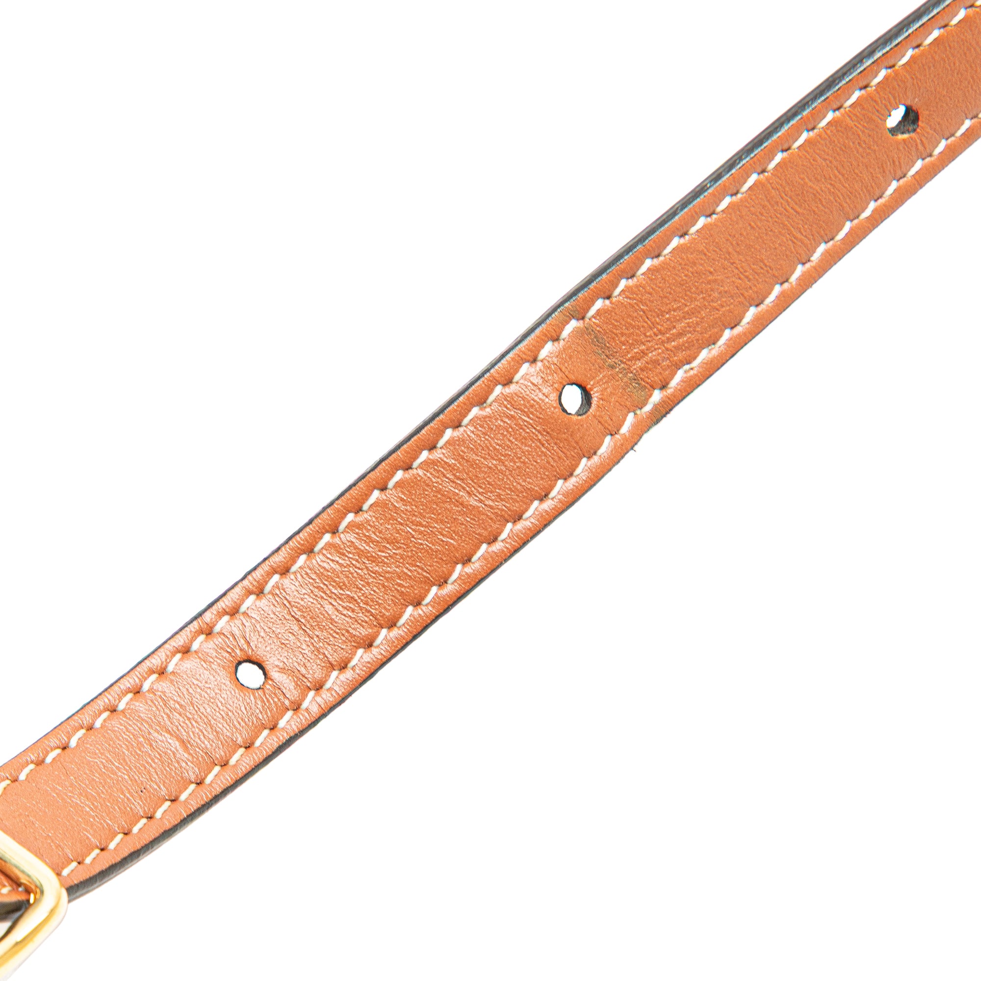 Medium Triomphe Coated Canvas Tambour Crossbody