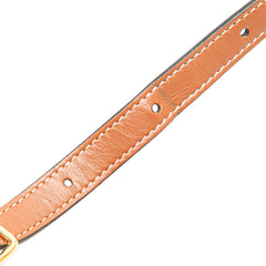 Medium Triomphe Coated Canvas Tambour Crossbody