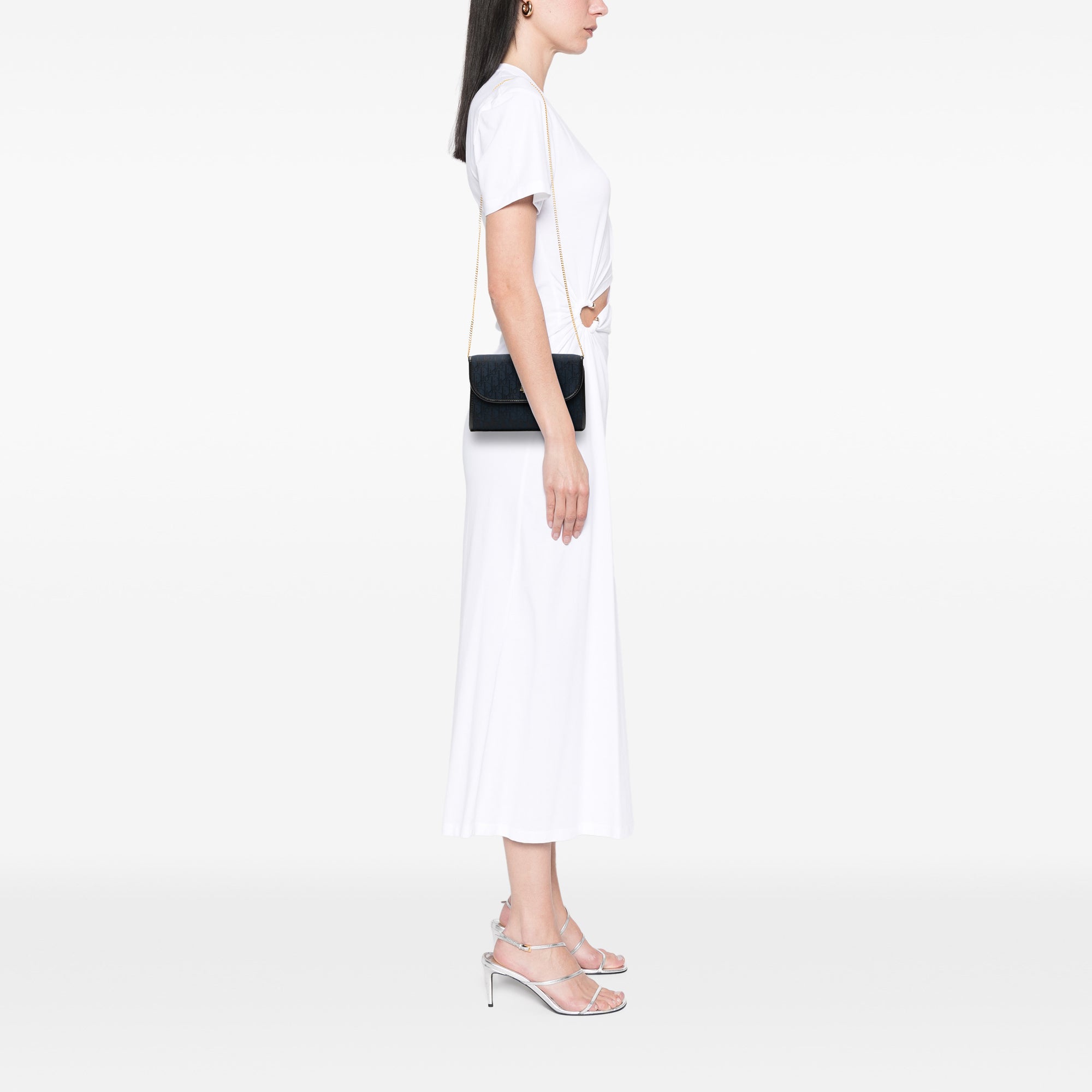 Diorissimo Trotter Canvas Chain Crossbody