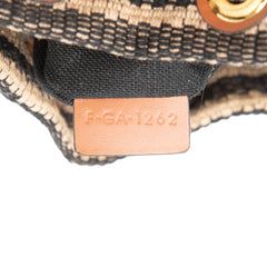 Small Triomphe Raffia Drawstring Bucket Bag