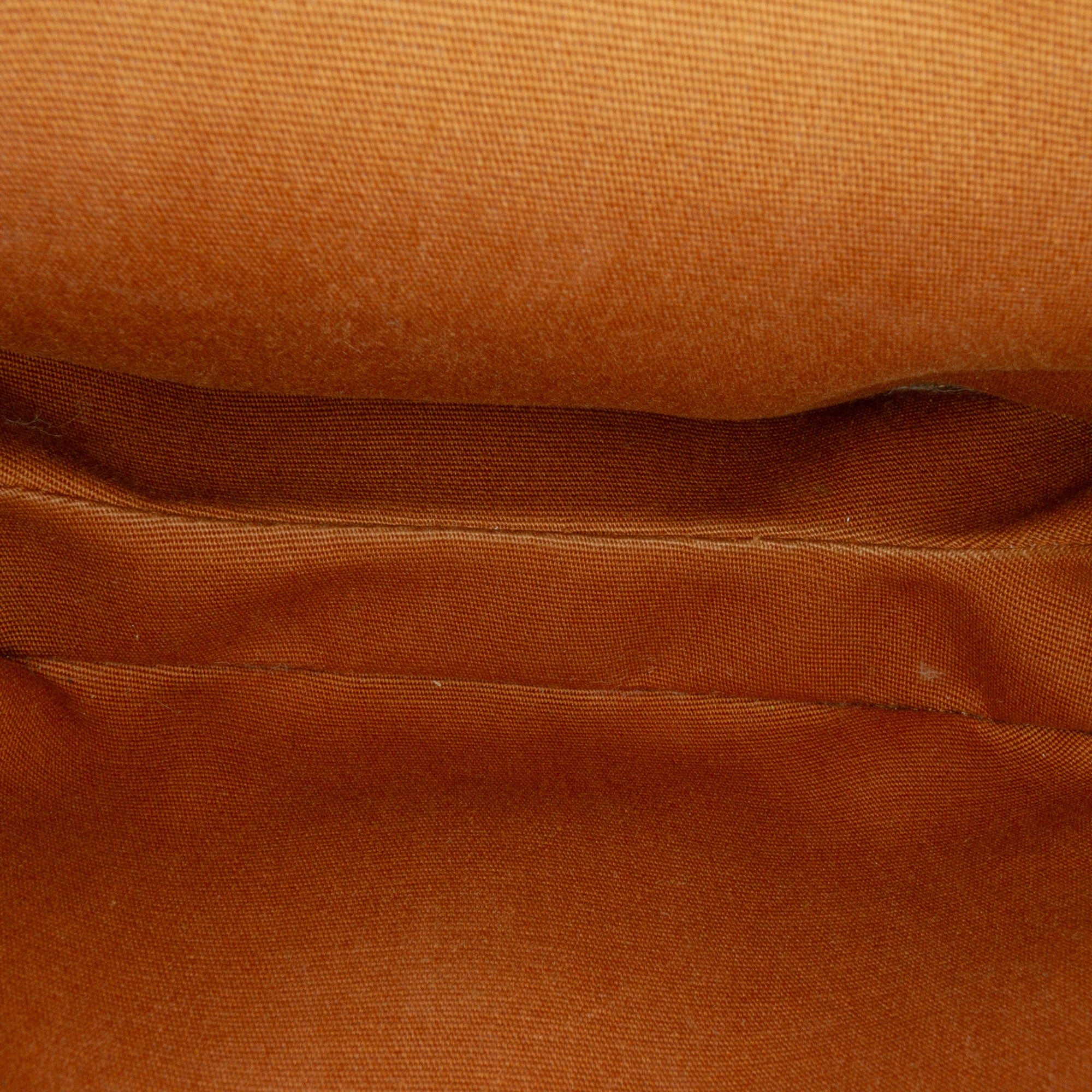 Triomphe Coated Canvas and Calfskin Besace Crossbody
