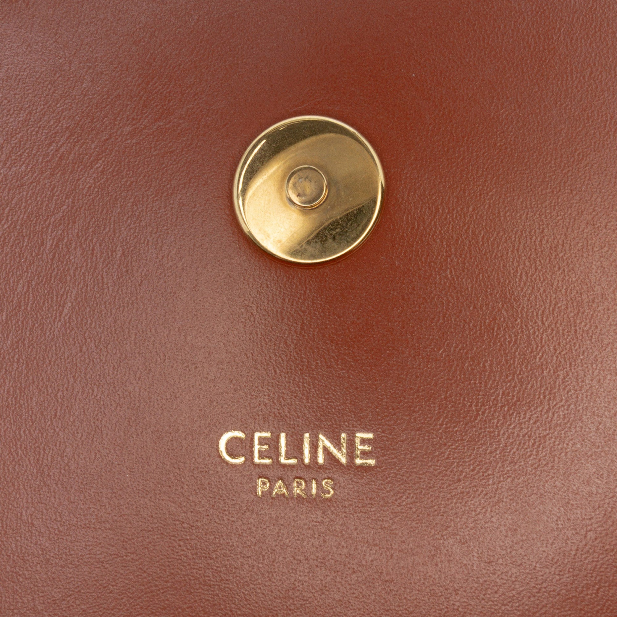 Triomphe Coated Canvas and Calfskin Besace Crossbody