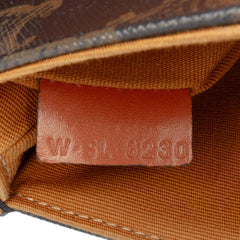 Triomphe Coated Canvas and Calfskin Besace Crossbody