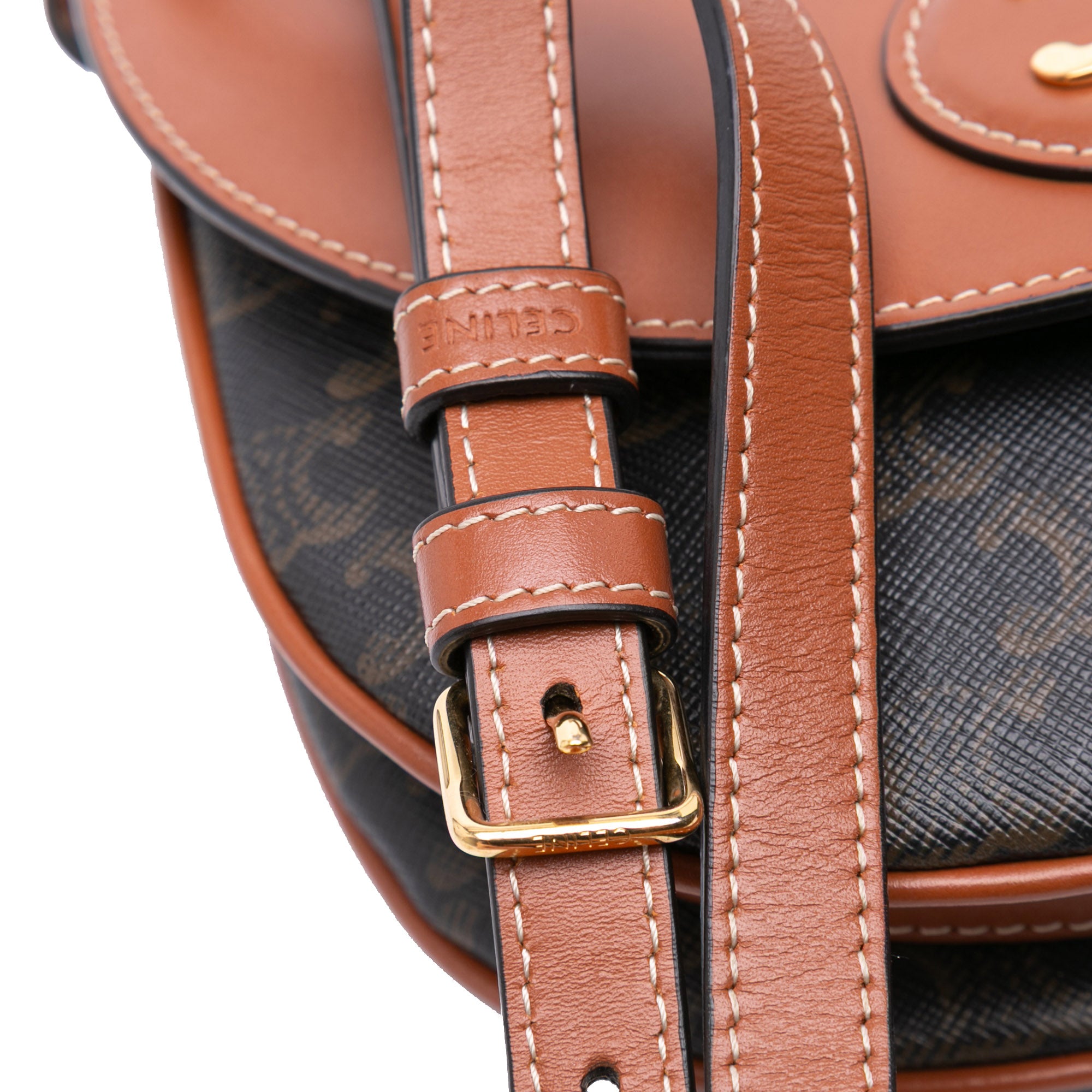 Triomphe Coated Canvas and Calfskin Besace Crossbody